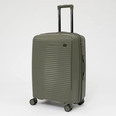 Чемодан на колесах Francesco Molinary 262-PP31/2-24DGN