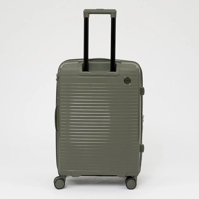 Чемодан на колесах Francesco Molinary 262-PP31/2-24DGN