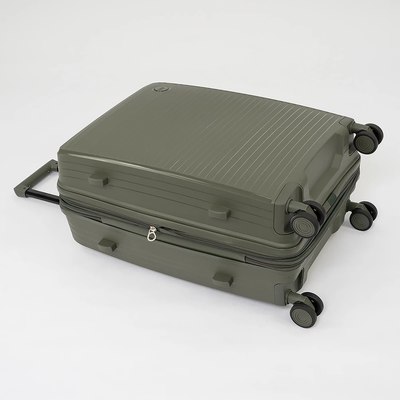 Чемодан на колесах Francesco Molinary 262-PP31/2-24DGN