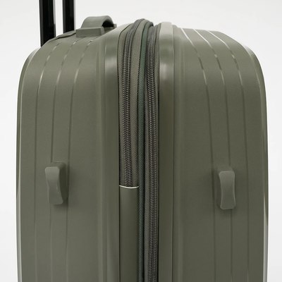 Чемодан на колесах Francesco Molinary 262-PP31/2-24DGN