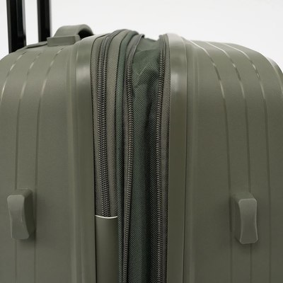 Чемодан на колесах Francesco Molinary 262-PP31/2-24DGN