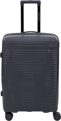 Чемодан на колесах Francesco Molinary 262-PP31/2-24DGR - фото