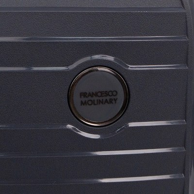 Чемодан на колесах Francesco Molinary 262-PP31/2-24DGR