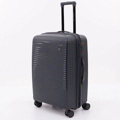 Чемодан на колесах Francesco Molinary 262-PP31/2-24DGR