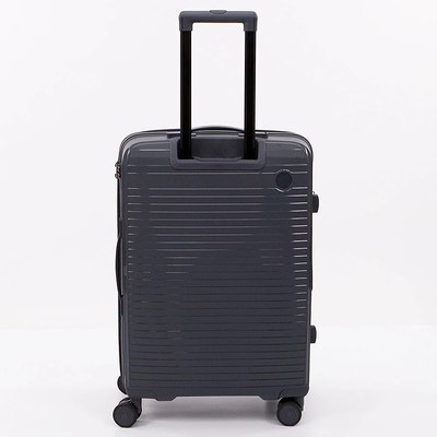 Чемодан на колесах Francesco Molinary 262-PP31/2-24DGR