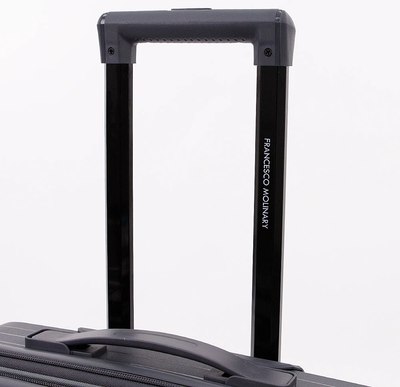 Чемодан на колесах Francesco Molinary 262-PP31/2-24DGR