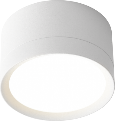 Точечный светильник Truenergy 21031 - фото