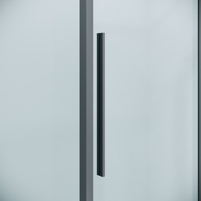 Душевая дверь Niagara Nova NG-34-12AGR 120x195