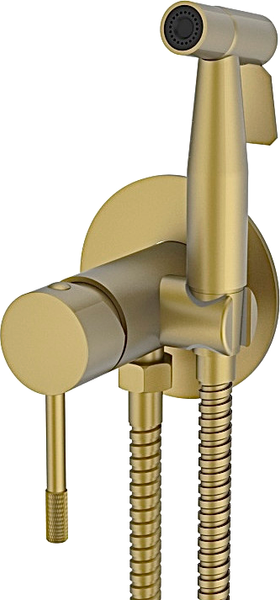 Гигиенический душ Vieir V403553S - фото