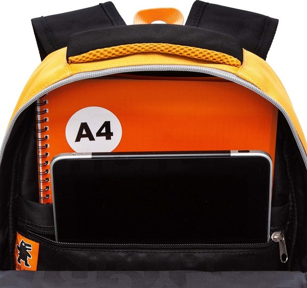 Школьный рюкзак Grizzly RB-553-1