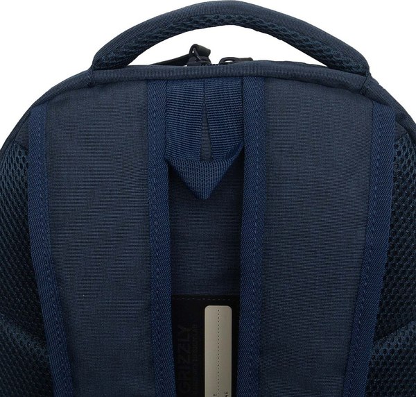 Школьный рюкзак Grizzly RB-554-4