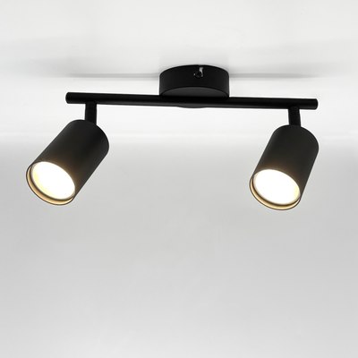 Спот Truenergy 21460