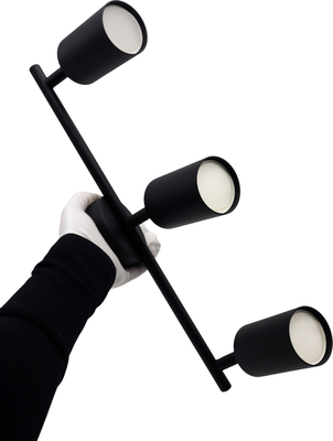 Спот Truenergy 21461