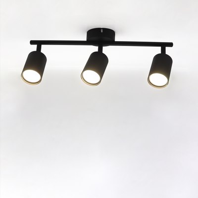 Спот Truenergy 21461