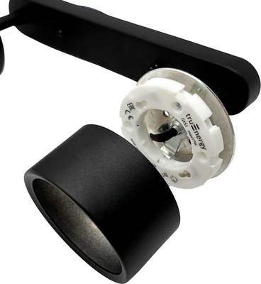 Спот Truenergy 21464