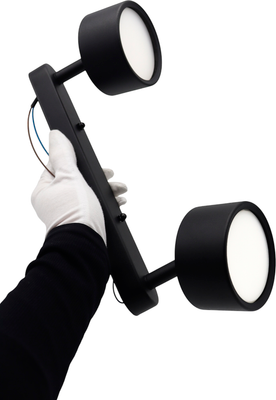 Спот Truenergy 21464