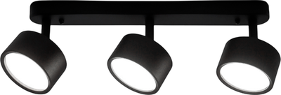 Спот Truenergy 21465 - фото