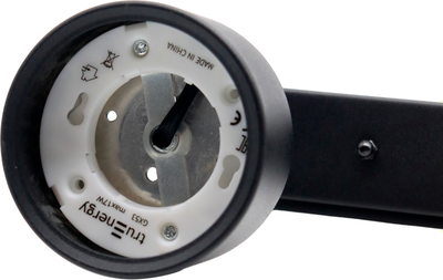 Спот Truenergy 21465