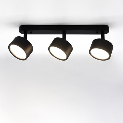 Спот Truenergy 21465