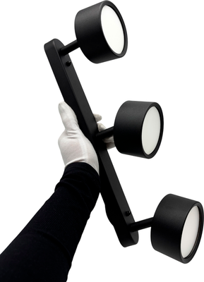 Спот Truenergy 21465