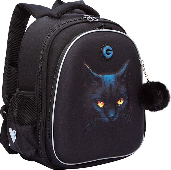 Школьный рюкзак Grizzly RAz-586-6 - фото