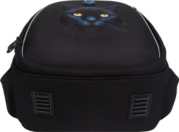 Школьный рюкзак Grizzly RAz-586-6