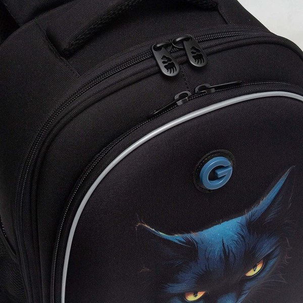 Школьный рюкзак Grizzly RAz-586-6