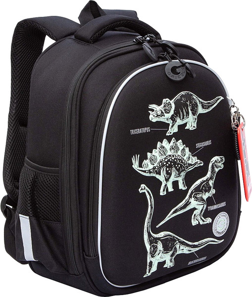 Школьный рюкзак Grizzly RAz-587-5 - фото