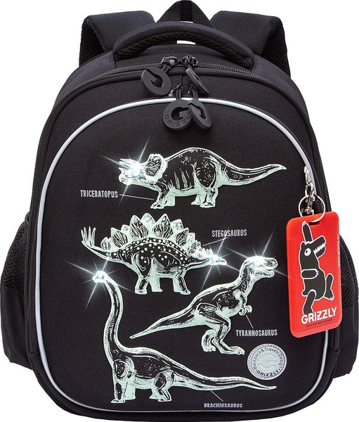 Школьный рюкзак Grizzly RAz-587-5