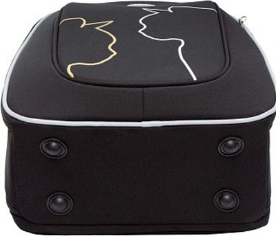 Школьный рюкзак Grizzly RAf-592-6