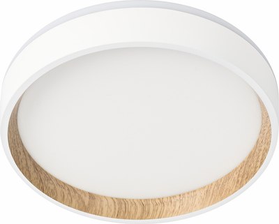 Светильник Citilux Etalon CL750180