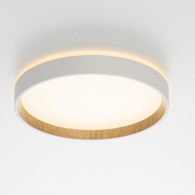 Светильник Citilux Etalon CL750240