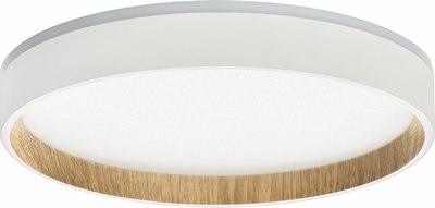 Светильник Citilux Etalon CL750240