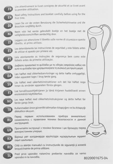 Блендер погружной Moulinex DD64R810