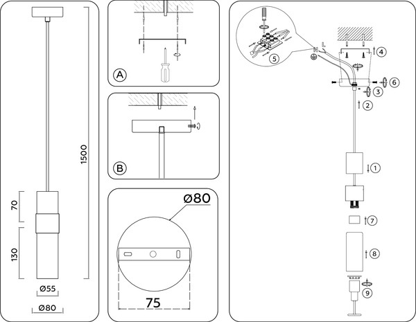 Потолочный светильник Ambrella LH55101 BK/FR/TI