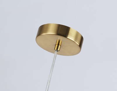 Потолочный светильник Ambrella LH56091 BS/FR