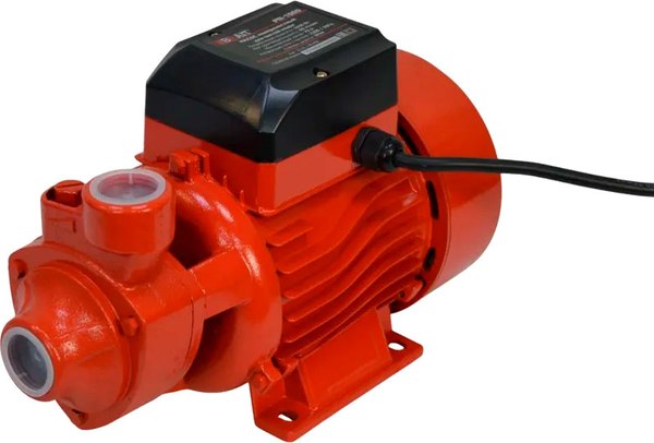 Поверхностный насос Brait PN-1000 - фото