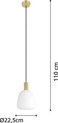 Потолочный светильник Eglo Manzanares 900305