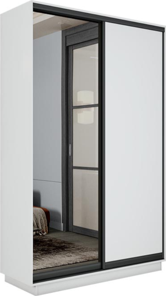 Шкаф-купе ТриЯ Румер-2 СШК 3.120.60-11.13 2-х дверный - фото