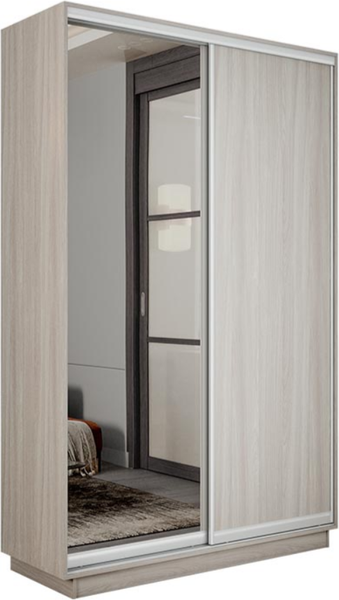 Шкаф-купе ТриЯ Румер-2 СШК 3.120.60-11.13 2-х дверный - фото
