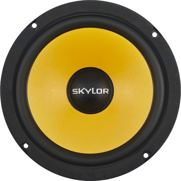 Компонентная АС Skylor E6C