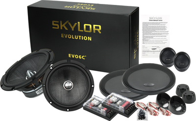 Компонентная АС Skylor EVO6C