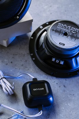 Компонентная АС Skylor R6C