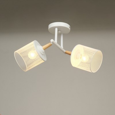 Потолочный светильник BayerLux Ринас 10385901 - фото