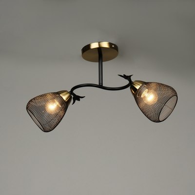 Потолочный светильник BayerLux Дассе 10385903 - фото