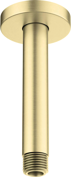 Душевой кронштейн Aquatek AQ2171BG - фото