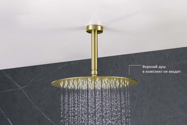 Душевой кронштейн Aquatek AQ2171BG