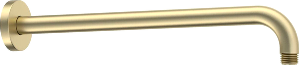 Душевой кронштейн Aquatek AQ2174BG - фото