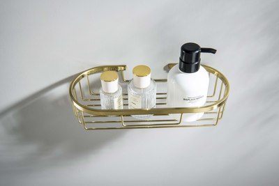 Полка для ванной Aquatek AQ4916BG