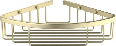 Полка для ванной Aquatek AQ4906BG - фото